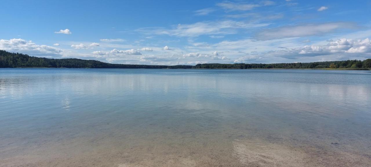 Domek Letniskowy U Marcina I Ani Borsk Exteriör bild
