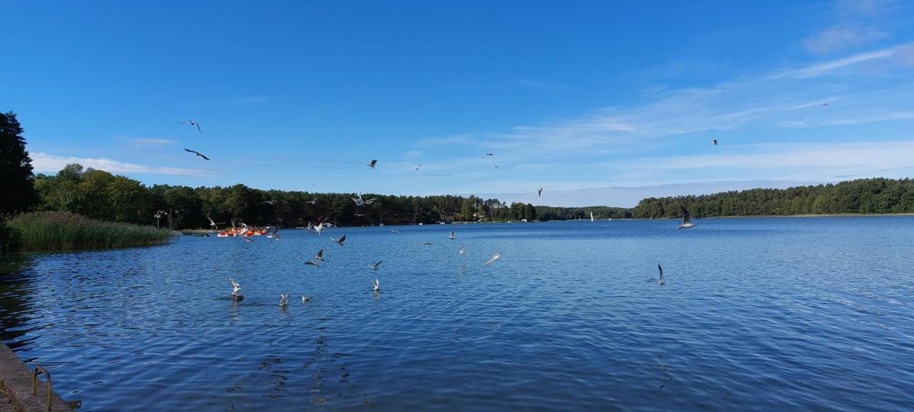 Domek Letniskowy U Marcina I Ani Borsk Exteriör bild