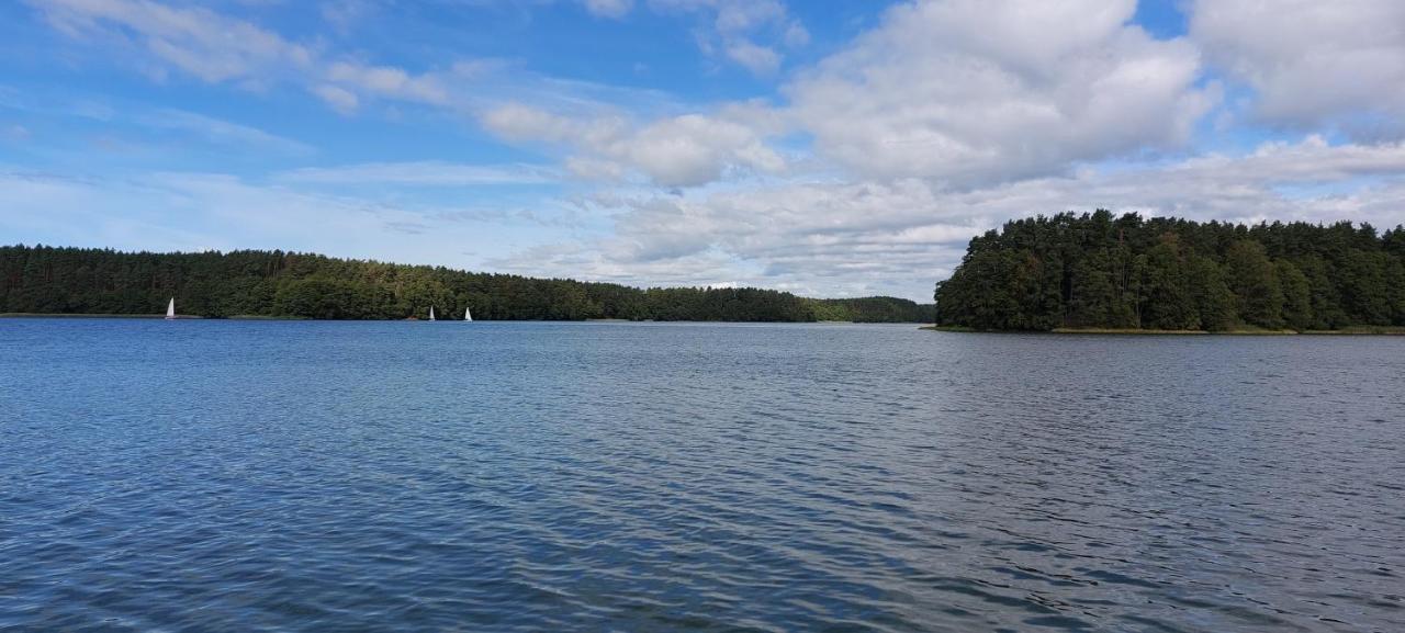 Domek Letniskowy U Marcina I Ani Borsk Exteriör bild
