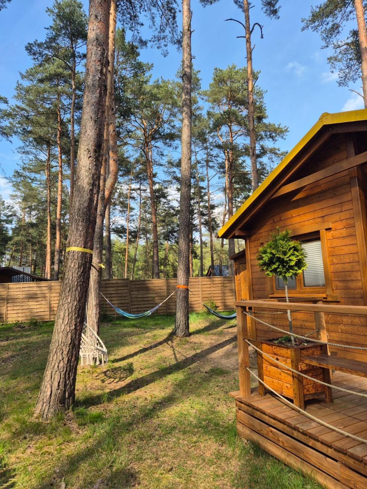 Domek Letniskowy U Marcina I Ani Borsk Exteriör bild